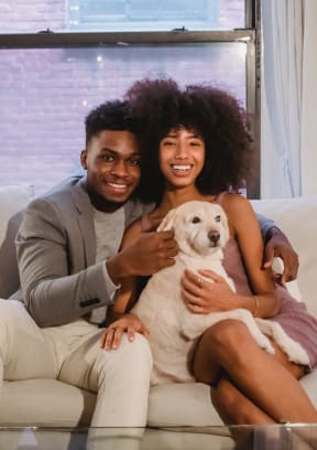 happy young black couple holding a dog and sitting on a sofa in front of a window