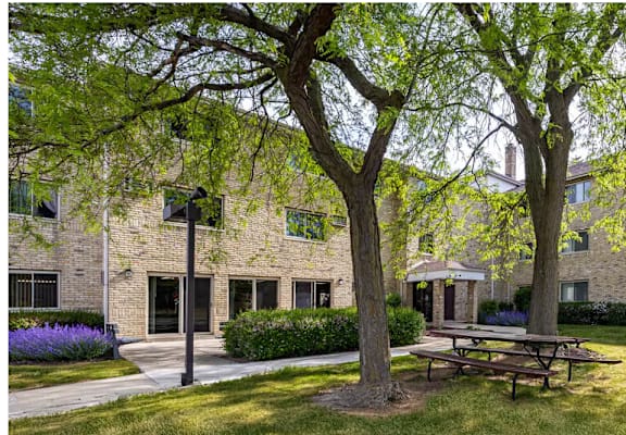 A tree with green leaves stands in front of a building.