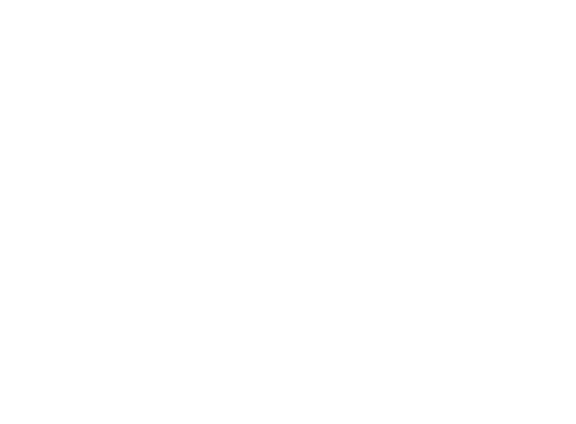 The Marketing Directors