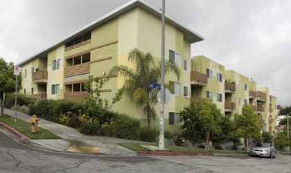 a yellow apartment building with a palm tree in front of it