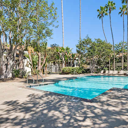 A pool surrounded by palm trees and a clear blue sky.