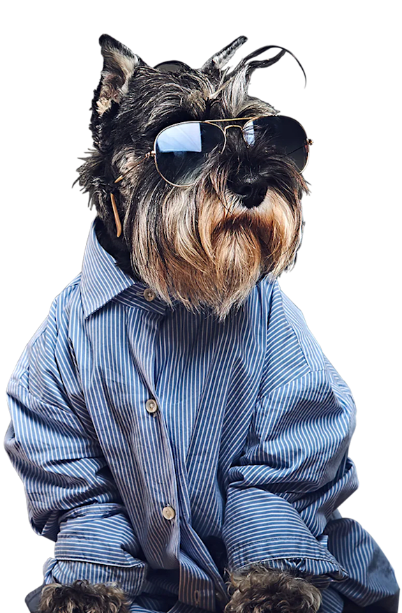 A dog wearing sunglasses and a striped shirt.