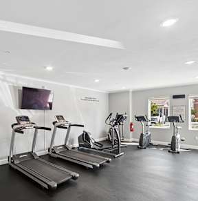 A gym with treadmills, exercise bikes, and a television.