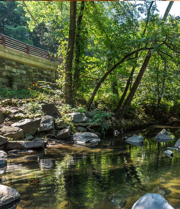 a creek in the woods with a bridge over it