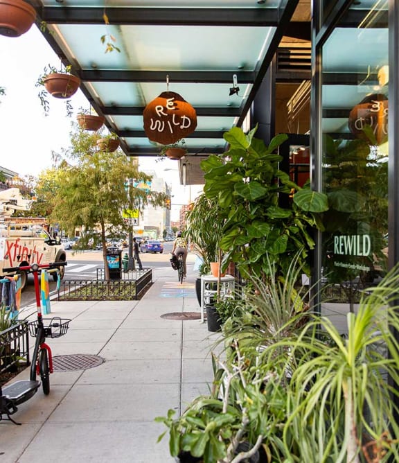 a sidewalk in front of a store with plants
