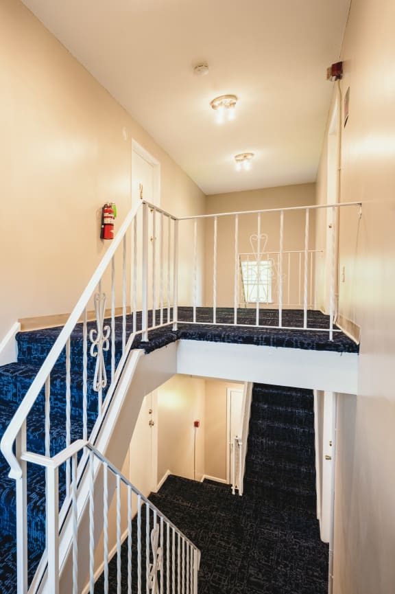 a staircase with blue carpeting and white railings and a white stair case at Bay Shore Apartments, East Haven, 06512