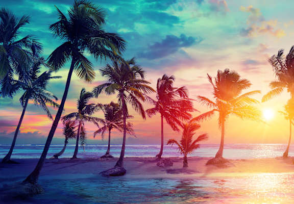 a row of palm trees on a tropical beach at sunset