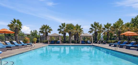 A large swimming pool surrounded by lounge chairs and umbrellas.
