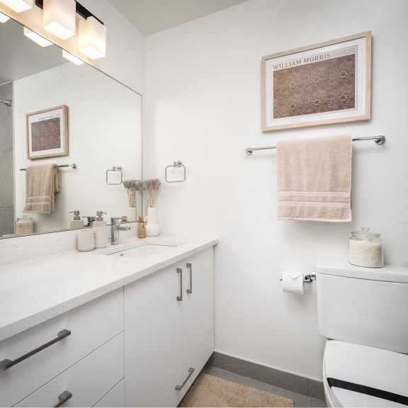 a bathroom with a sink and a toilet and a mirror