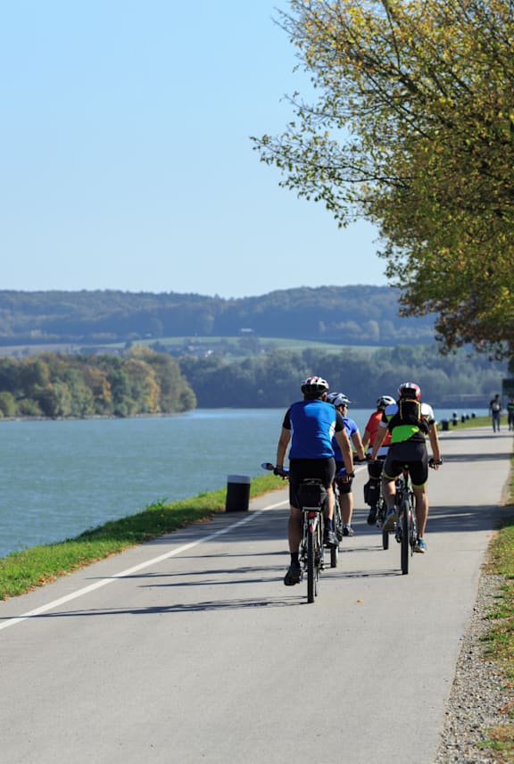 A group of people riding bikes on a path next to a body of water.