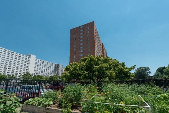 a garden with a tall brick building in the background