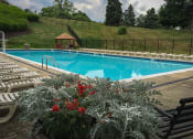 Thumbnail 34 of 41 - Crane Village Apartments Pool