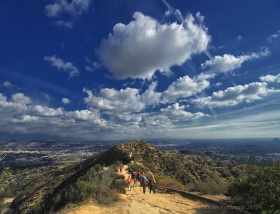 Landscape Image at The Reserve at Warner Center Apartments, California