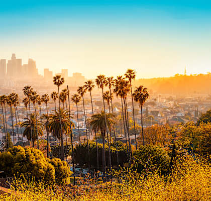 A city skyline is visible through a hazy sky with palm trees in the foreground. at Bonnie Brae Apartments, California