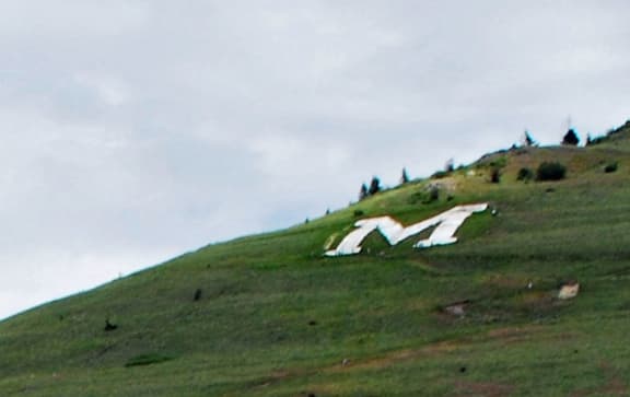 a large white letter m on a grassy hill