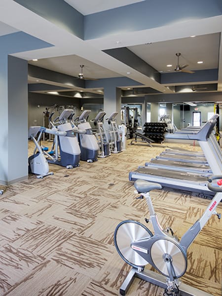 Fitness Room at LangTree Lake Norman Apartments, North Carolina, 28117