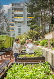 Two people standing in a garden with a building in the background.