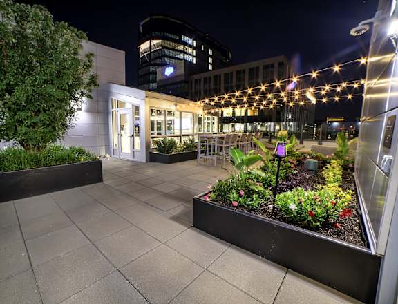 a patio with plants and lights at night