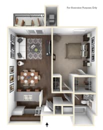 1 bedroom apartment floor plan