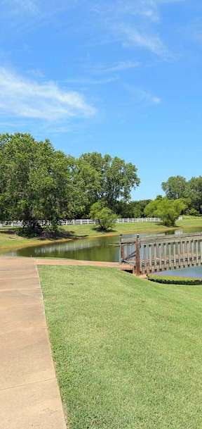A row of houses with a bridge over a pond in front.