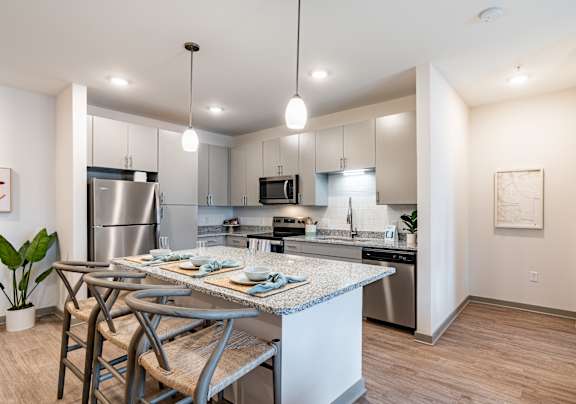 luxury kitchen with stainless steel appliances in mt. juliet