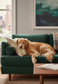 A golden retriever dog is lying on a green couch with a book and a cup on the table in front of it.