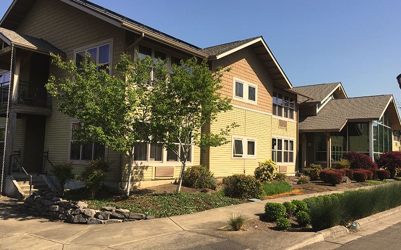 Rain Garden | Apartments in Wilsonville, OR