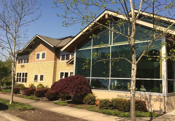 Fresh Look at Rain Garden