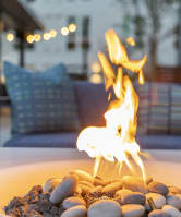 a plate with rocks and a fire on a table