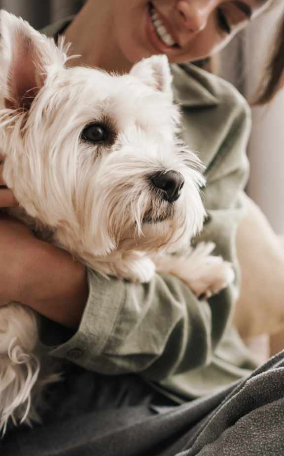Lincoln Property Company Pet Love