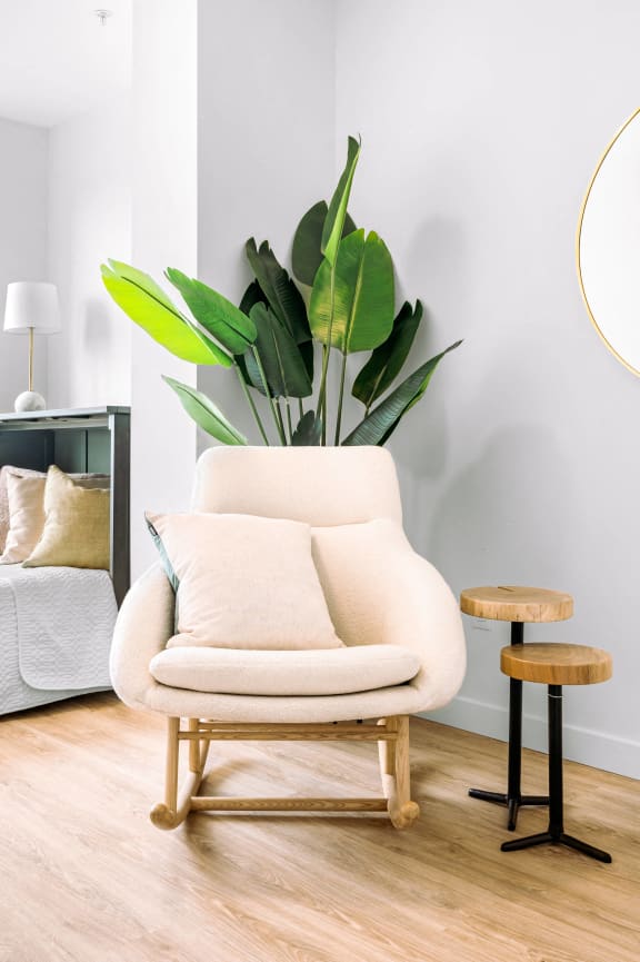 a chair and a potted plant in a room with a window and a bed