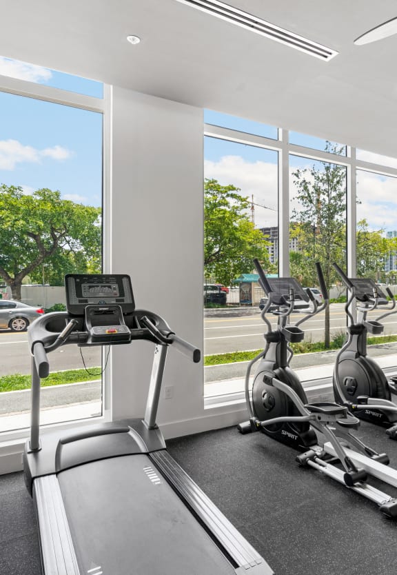 the gym is equipped with state of the art cardio equipment and windows
