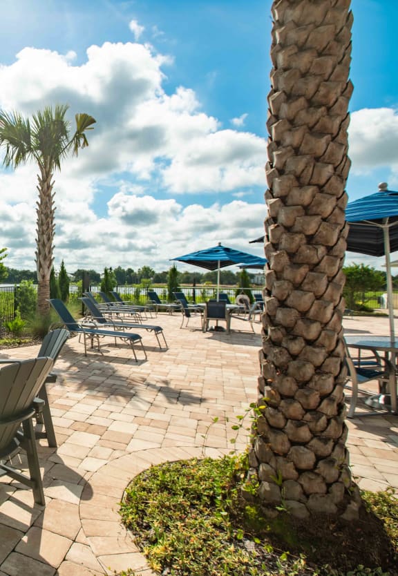 a patio with tables and chairs and palm trees