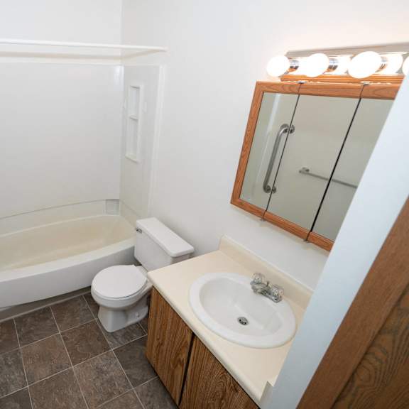 a bathroom with a sink and a toilet and a shower