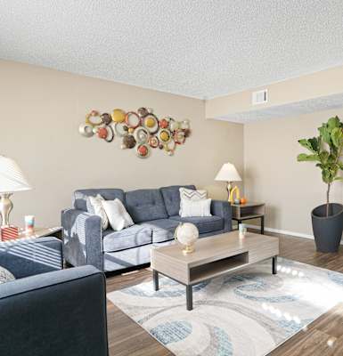living room with blue couch, brown table and plant
