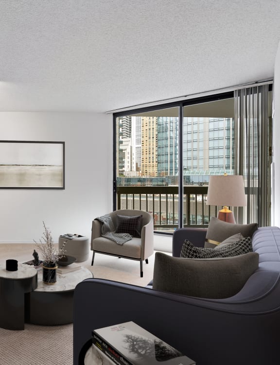 Living Room With TV at Asbury Plaza, Chicago