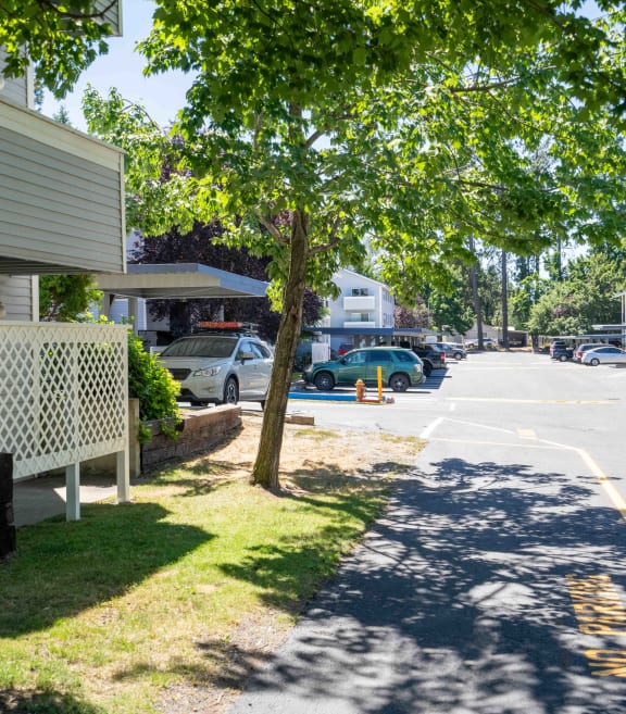 a street with houses on each side and a tree in the middle of the street  at Ironwood Apartments, Coeur d'Alene, 83814