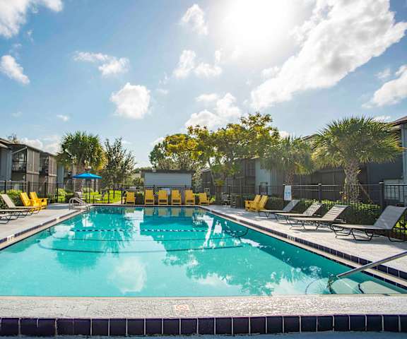 A swimming pool surrounded by sun loungers and trees.