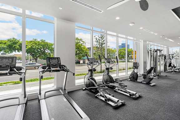 the gym is equipped with state of the art cardio equipment and windows
