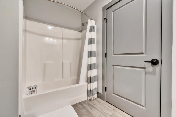 a bathroom with a shower and a bathtub
