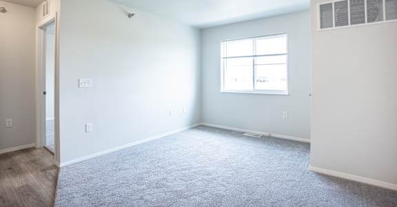 A room with a carpeted floor and a window.