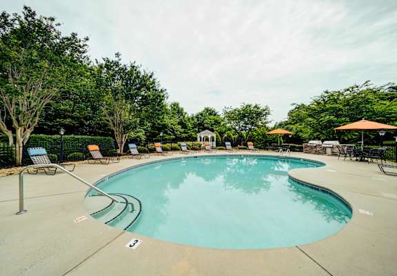 Gorgeous Pool