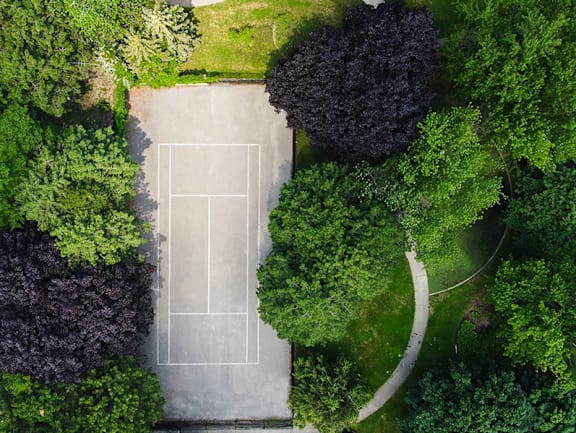 a aerial view of a tennis court and trees
