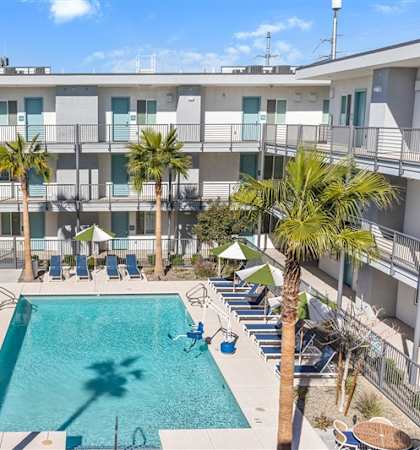 A pool surrounded by palm trees and lounge chairs.at The 89 on Hayden, Scottsdale
