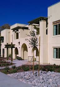 A white building with a green roof and a tree in front.