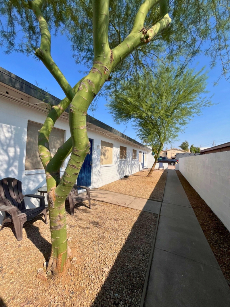 Shared outdoor space at East Vista.