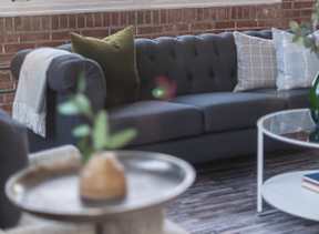 A grey sofa with a green pillow and a white vase with a plant on a table in front of a window.