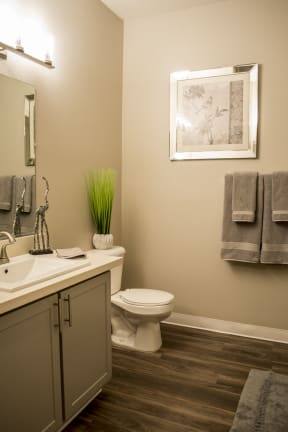 Apartments In Roseville, CA - Bathroom With Stainless Steel GE Appliances, Quartz Surfaces, Wood Laminate Flooring, Large Mirror, Sink, And Toilet