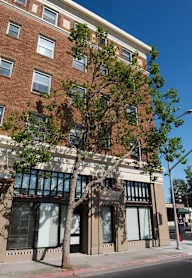 A tree in front of a building with a red brick facade.