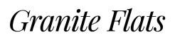 a black and white graphic of the word gothic fonts